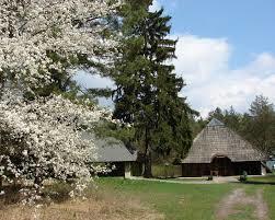 Rezerwat przyrody Krzemionki Opatowskie